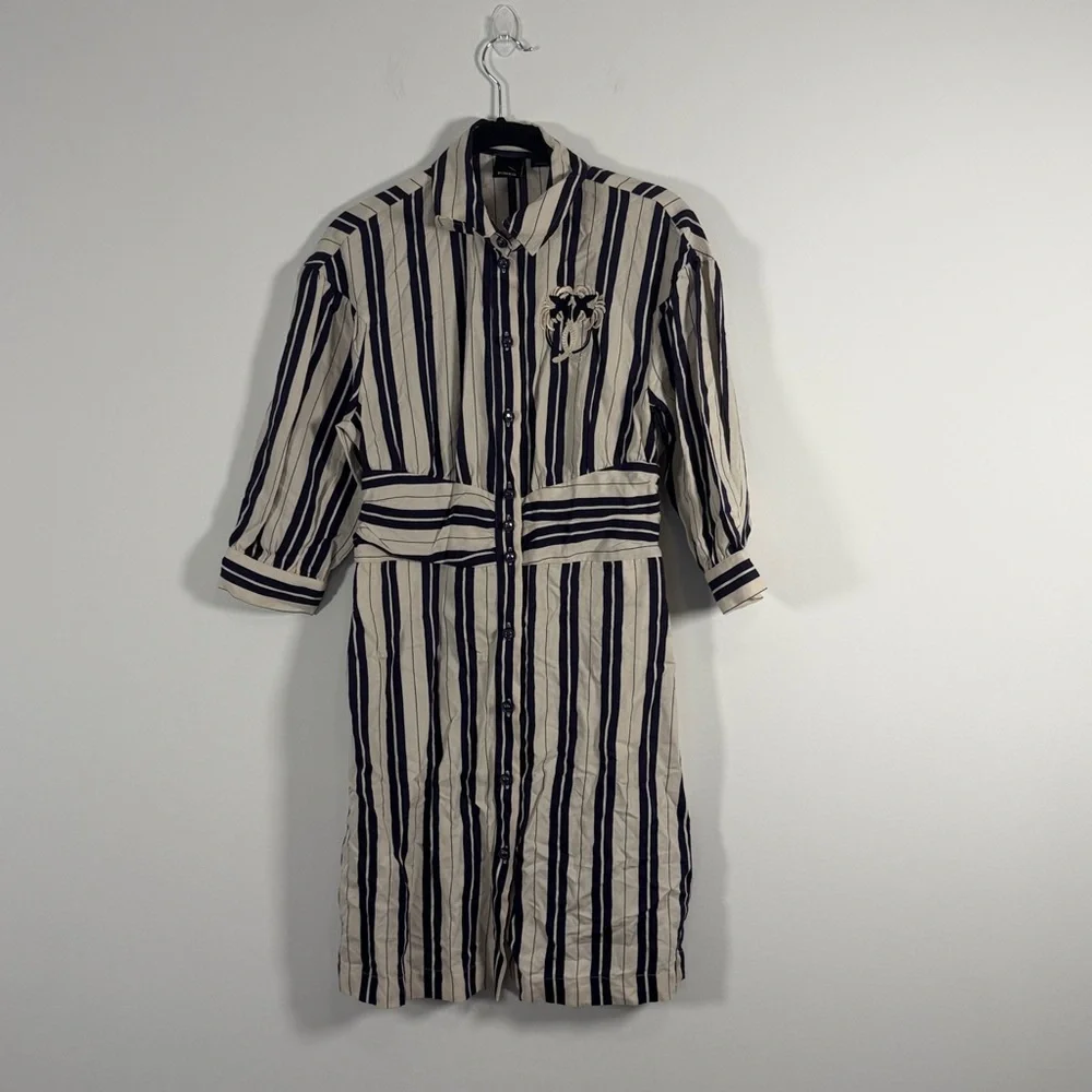 Pinko Chivasso Shirt Dress - Picture 7 of 14